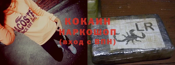 прущий лед Инсар