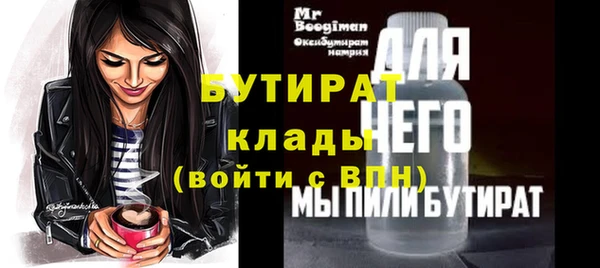 твердый Инта