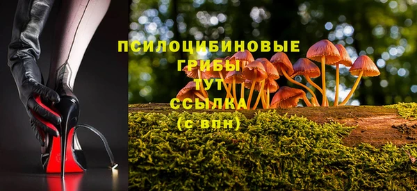 твердый Инта