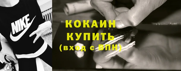 твердый Инта