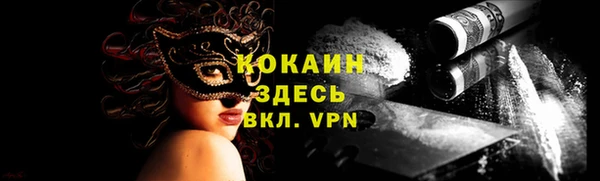 твердый Инта