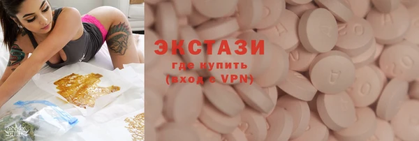 твердый Инта