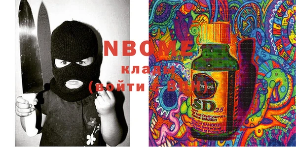 твердый Инта