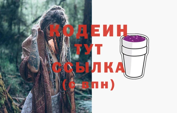 твердый Инта