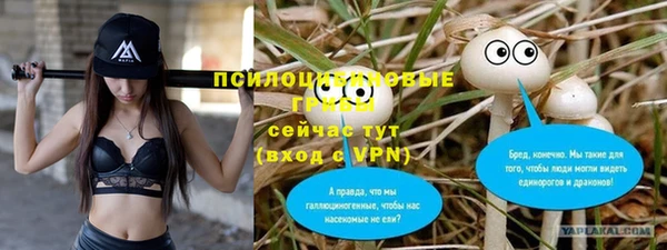 твердый Инта