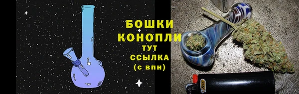 твердый Инта