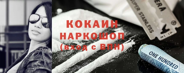 прущий лед Инсар