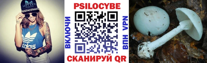 Купить где  Калининец  Галлюциногенные грибы Cubensis 